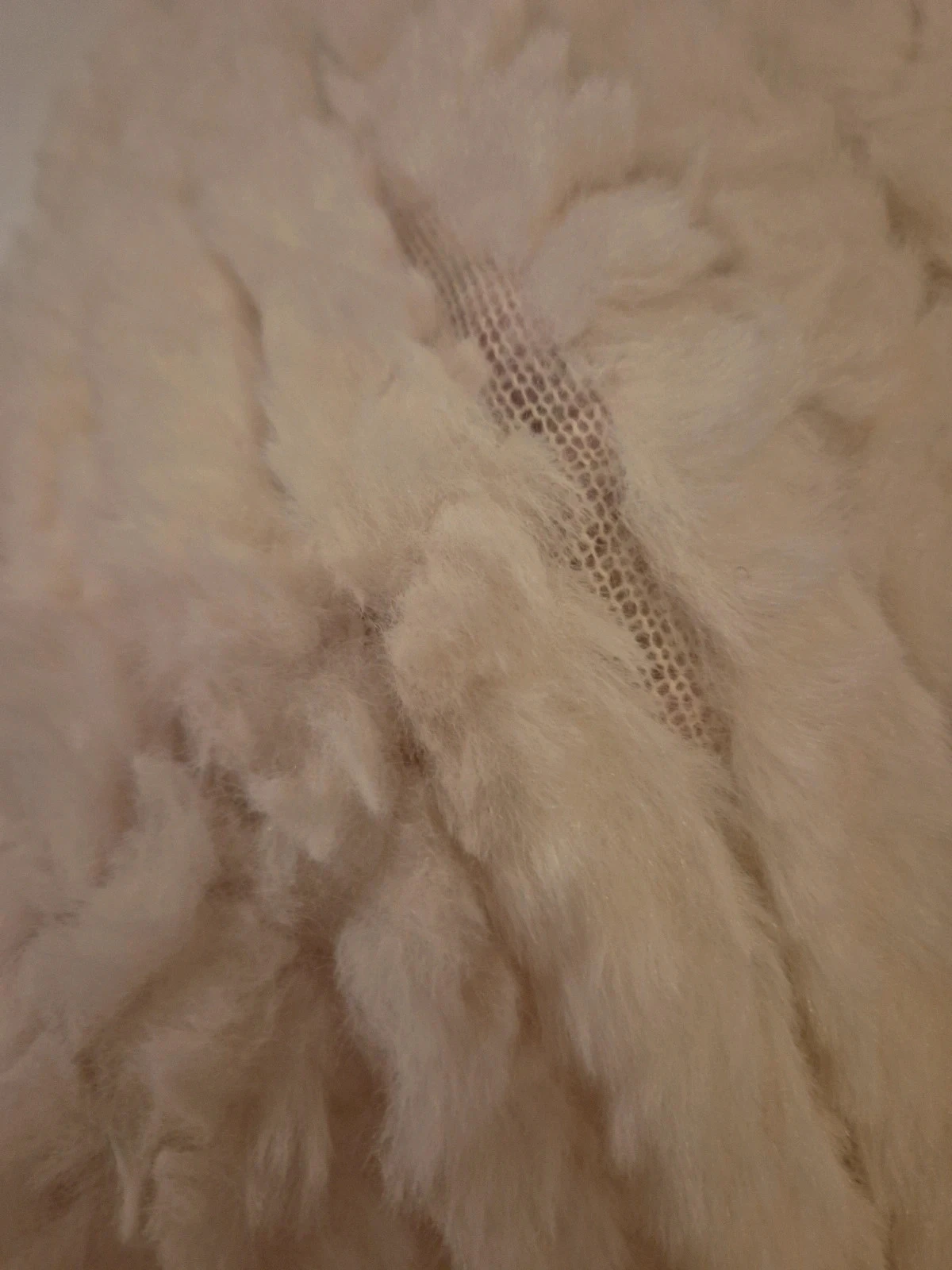 Poncho – photo 5